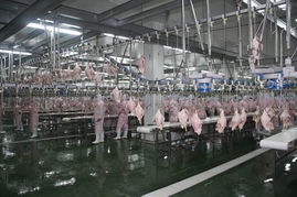 重慶合川屠宰廠低價轉讓